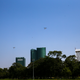 Officials used a small park to test the drones, but it isn’t clear if the scheme is scalable to an entire city.